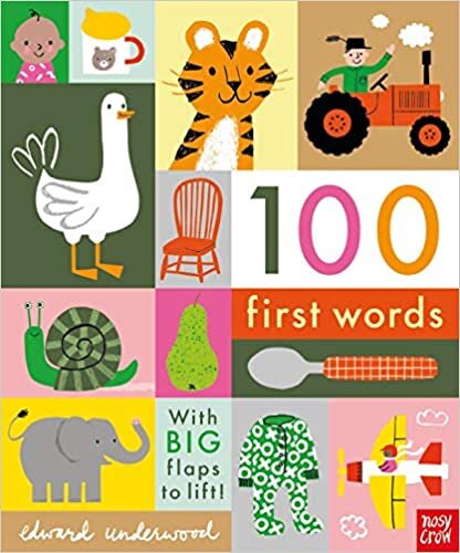 NC - 100 First Words indir