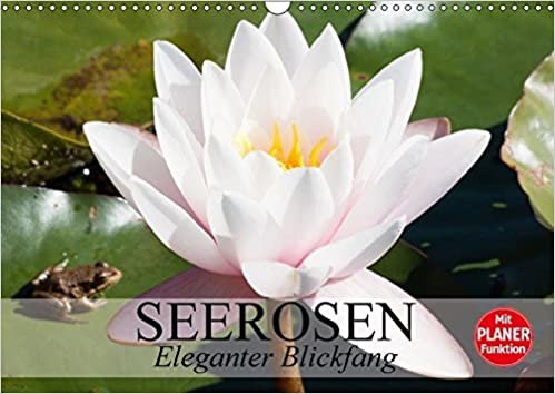 Seerosen. Eleganter Blickfang (Wandkalender 2017 DIN A3 quer): Zarte und farbenprächtige Eleganz im Gartenteich (Geburtstagskalender, 14 Seiten ) indir