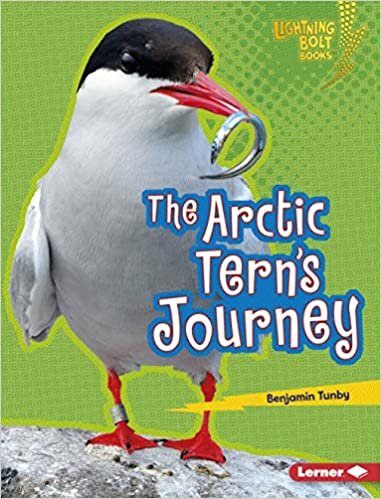 The Arctic Tern's Journey (Lightning Bolt Books (R) -- Amazing Migrators)