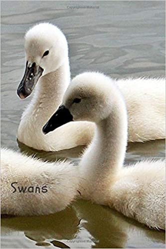 Swans: Notebook with Animals for Kids, Notebook for Coloring Drawing and Writing (Realistic Colors, 110 Pages, Unlined, 6 x 9)(Animal Glossy Notebook)
