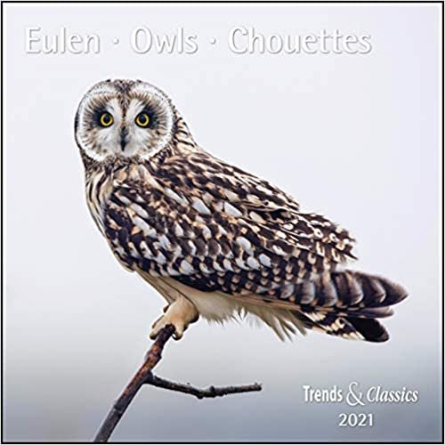 Eulen Owls 2021 - Broschürenkalender - Wandkalender - mit herausnehmbarem Poster - Format 30 x 30 cm