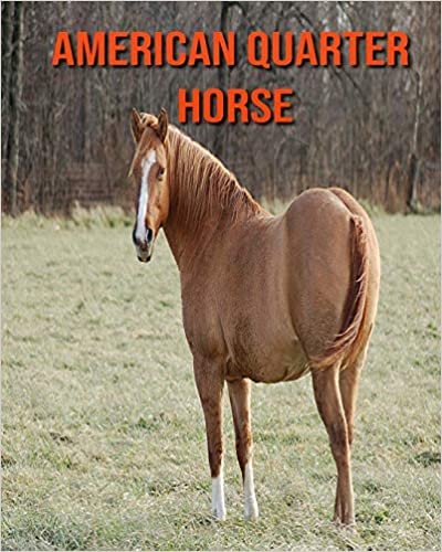 American Quarter Horse: Amazing Photos & Fun Facts Book About American Quarter Horse For Kids indir
