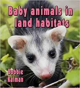 Baby Animals in Land Habitats (Habitats of Baby Animals (Paperback))