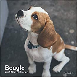 Beagle: 2021 Mini Wall Calendar: Collection of the cutest photos to melt your heart (Furry Dog Friends)