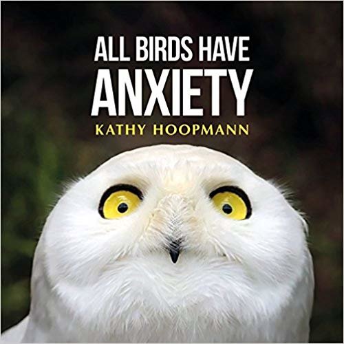 All Birds Have Anxiety indir