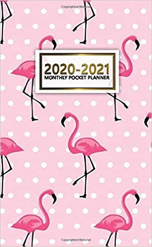 2020-2021 Monthly Pocket Planner: 2 Year Pocket Monthly Organizer & Calendar | Cute Pink Two-Year (24 months) Agenda With Phone Book, Password Log and ... | NIfty Polka Dot & Exotic Flamingo Print