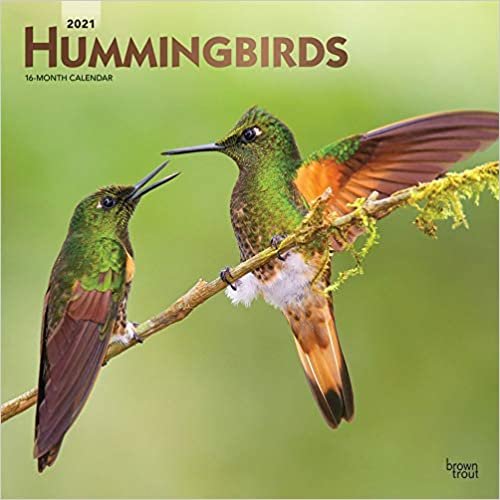Hummingbirds - Kolibris 2021 - 16-Monatskalender: Original BrownTrout-Kalender [Mehrsprachig] [Kalender] (Wall-Kalender)