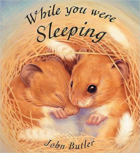 While You Were Sleeping (Orchard Picturebooks) indir