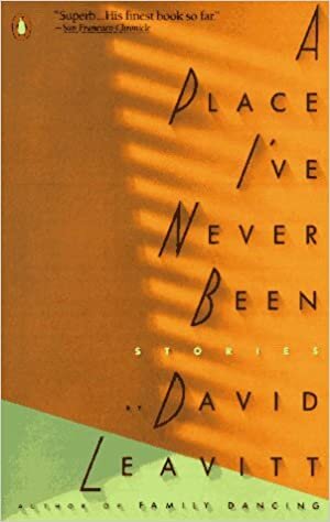 A Place I've Never Been (Contemporary American Fiction)