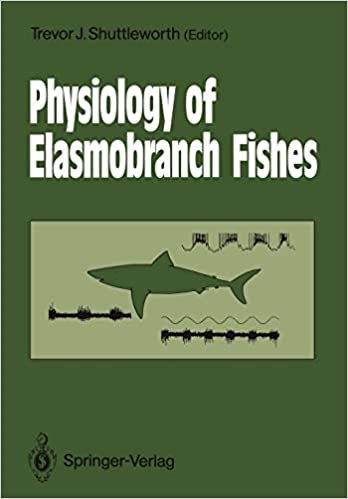 Physiology of Elasmobranch Fishes