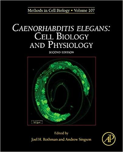 Caenorhabditis elegans: Cell Biology and Physiology (Volume 107) (Methods in Cell Biology (Volume 107), Band 107)