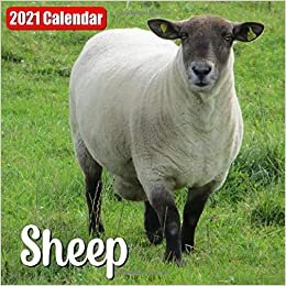 Calendar 2021 Sheep: Cute Sheep Photos Monthly Mini Calendar