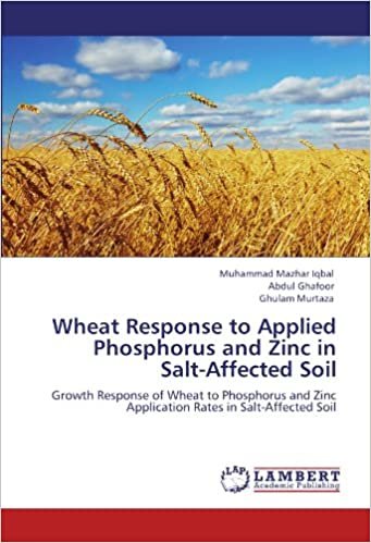 Wheat Response to Applied Phosphorus and Zinc in Salt-Affected Soil: Growth Response of Wheat to Phosphorus and Zinc Application Rates in Salt-Affected Soil