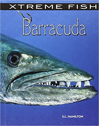 Barracuda (Xtreme Fish)