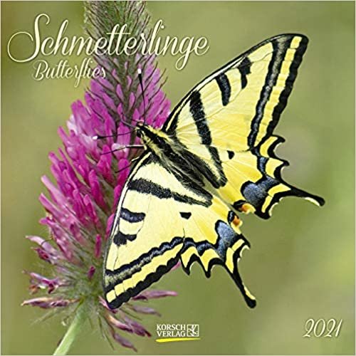 Schmetterlinge 2021: Broschürenkalender mit Ferienterminen