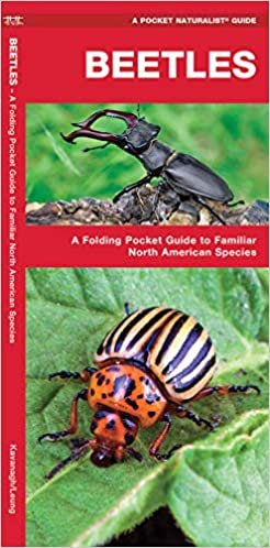 Beetles: A Folding Pocket Guide to Familiar North American Species (A Pocket Naturalist Guide) indir