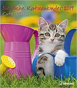 2019 Cute Cats Wall Calendar - 30 x 34cm indir