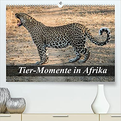 Tier-Momente in Afrika (Premium, hochwertiger DIN A2 Wandkalender 2022, Kunstdruck in Hochglanz): Afrikas wilde Tierwelt (Monatskalender, 14 Seiten ) (CALVENDO Tiere)