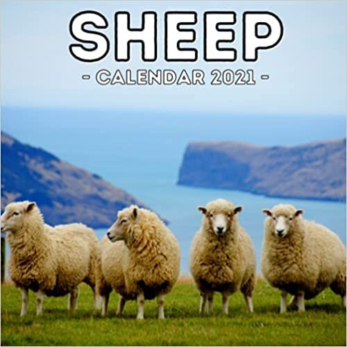 Sheep Calendar 2021: 16-Month Calendar, Cute Gift Idea For Sheep Lovers Women & Men indir