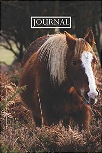 Journal: Pretty Notebook Gift for cute horses lovers indir