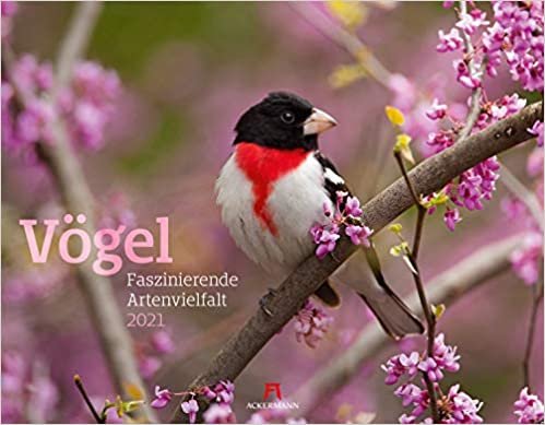 Vögel - Faszinierende Artenvielfalt 2021