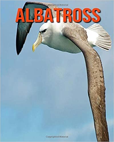 Albatross: Childrens Book Amazing Facts & Pictures about Albatross indir