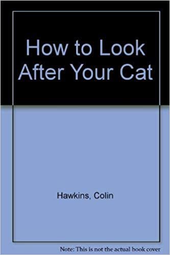 How to Look After Your Cat