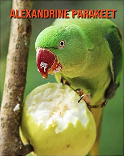 Alexandrine Parakeet: Childrens Book Amazing Facts & Pictures about Alexandrine Parakeet