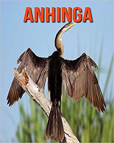 Anhinga: Childrens Book Amazing Facts & Pictures about Anhinga