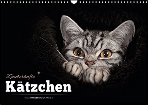 Zauberhafte Kätzchen (Wandkalender 2016 DIN A3 quer): Kalender "Zauberhafte Kätzchen" (Monatskalender, 14 Seiten) (CALVENDO Tiere) indir