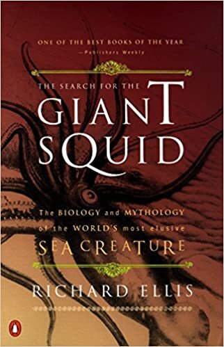 The Search For the Giant Squid indir