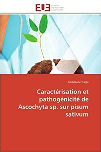 Caractérisation et pathogénicité de Ascochyta sp. sur pisum sativum (Omn.Univ.Europ.)