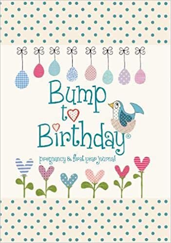 Bump to Birthday, Pregnancy & First Year Baby Journal : an award-winning journal / diary to help you hold onto memories of the growing bump, the birth & the first year with your baby (Parent & Child)