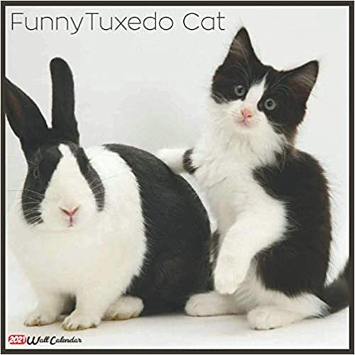 Funny Tuxedo Cat 2021 Wall Calendar: Official Funny Tuxedo Cat Calendar 2021, 18 Months
