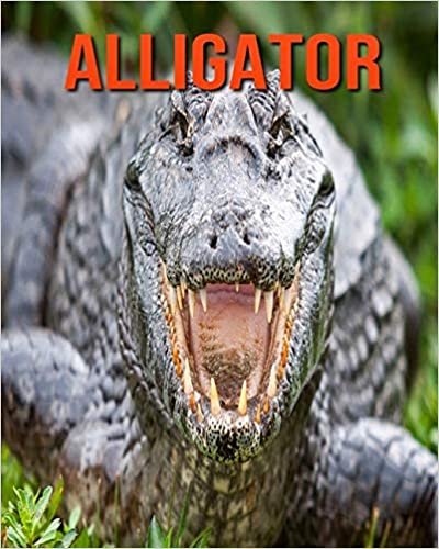 Alligator: Beautiful Pictures & Interesting Facts Children Book About Alligator