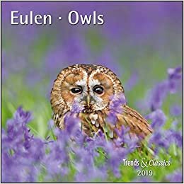 Eulen Owls 2019 Trends & Classics Kalender