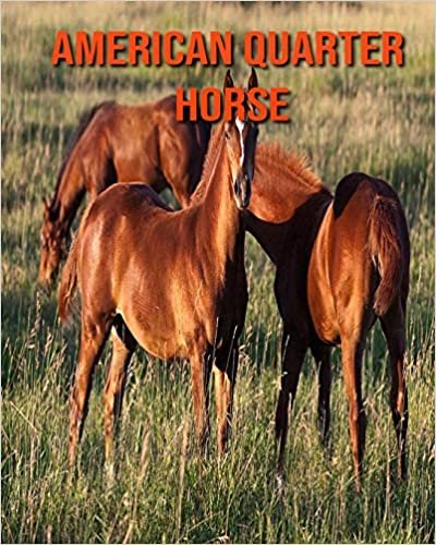 American Quarter Horse: Children Book of Fun Facts & Amazing Photos