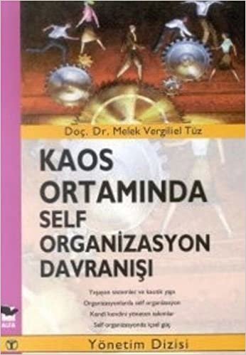 Kaos Ortamında Self Organizasyon Davranışı: Yönetim Dizisi