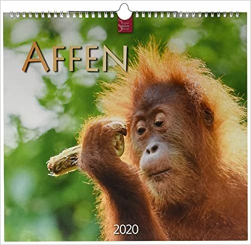 Affen 2020