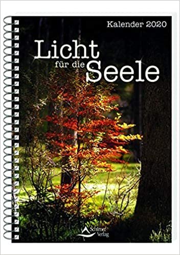 Schirner, M: Licht für die Seele 2020/Tischkal. indir