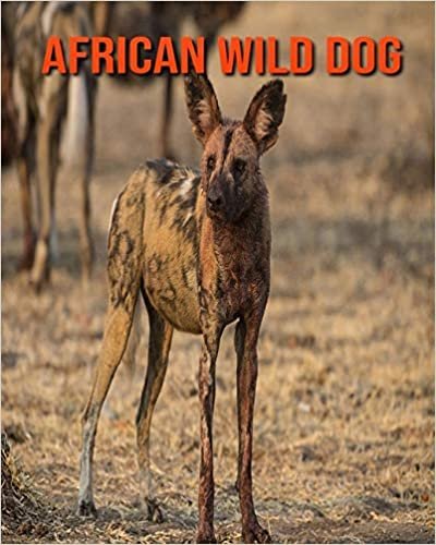 African Wild Dog: Beautiful Pictures & Interesting Facts Children Book About African Wild Dog