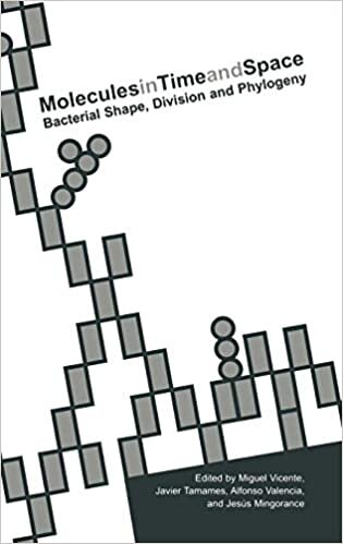 Molecules in Time and Space: Bacterial Shape, Division and Phylogeny (The Kluwer International Series in Engineering & Computer Science)