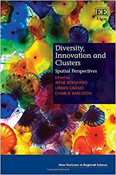 Diversity, Innovation and Clusters: Spatial Perspectives (New Horizons in Regional Science series)