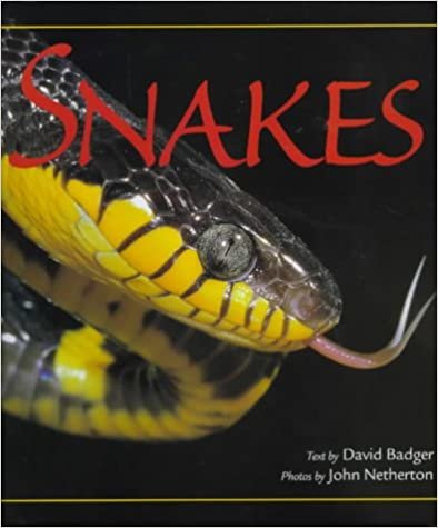 Snakes indir