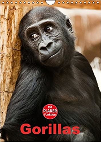 Gorillas (Wandkalender 2016 DIN A4 hoch): Die sanften Riesen Afrikas (Planer, 14 Seiten ) (CALVENDO Tiere)
