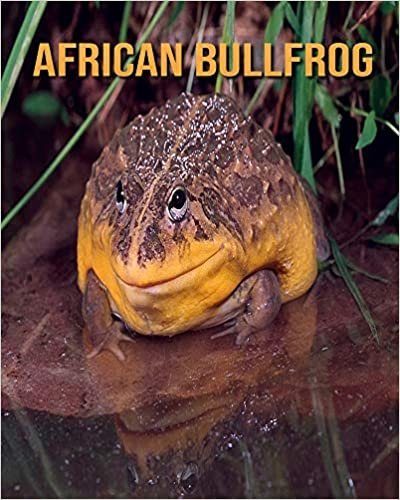 African Bullfrog: Fun Facts and Amazing Photos of Animals in Nature