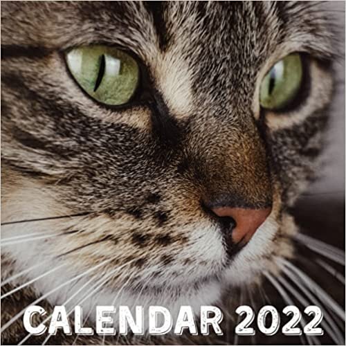 Calendar 2022: Tabby Cats September 2021 - December 2022 Monthly Planner Mini Calendar With Inspirational Quotes