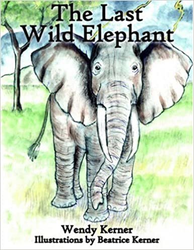 The Last Wild Elephant