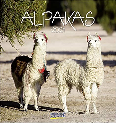 Alpakas 2021: Aufstellbarer Postkartenkalender mit Fotos von lustigen Alpakas. Format 16 x 17 cm