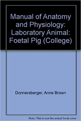 Manual of Anatomy and Physiology. Fetal Pig Ed (College S.): Laboratory Animal: Foetal Pig